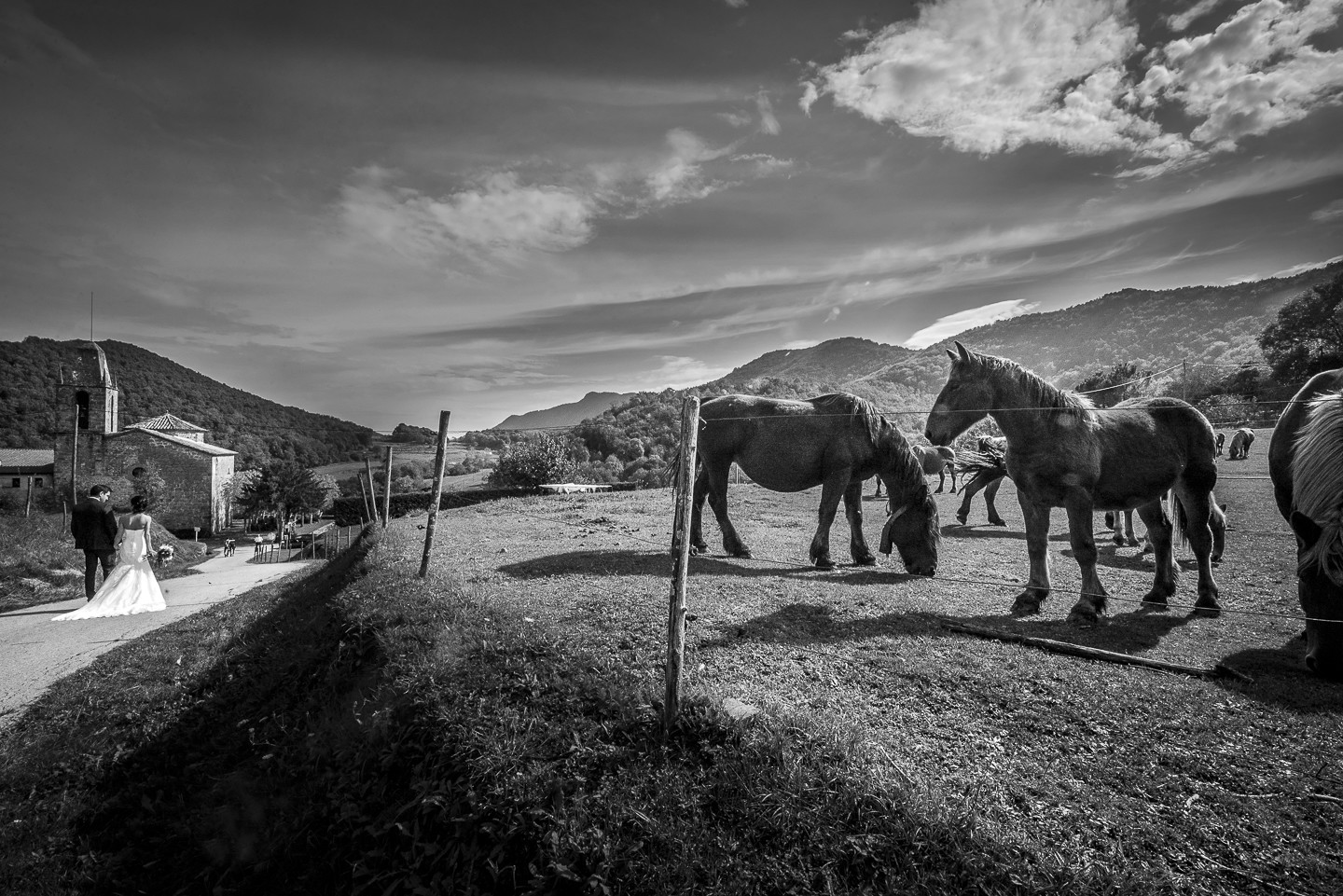 MAS MARINER,CAMPRODON,GIRONA-40